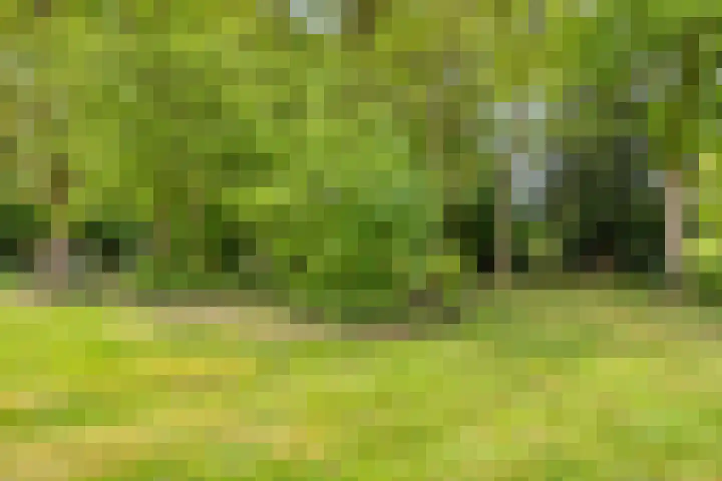 Kerkdreef 2 Nijeholtpade thumbnail 36