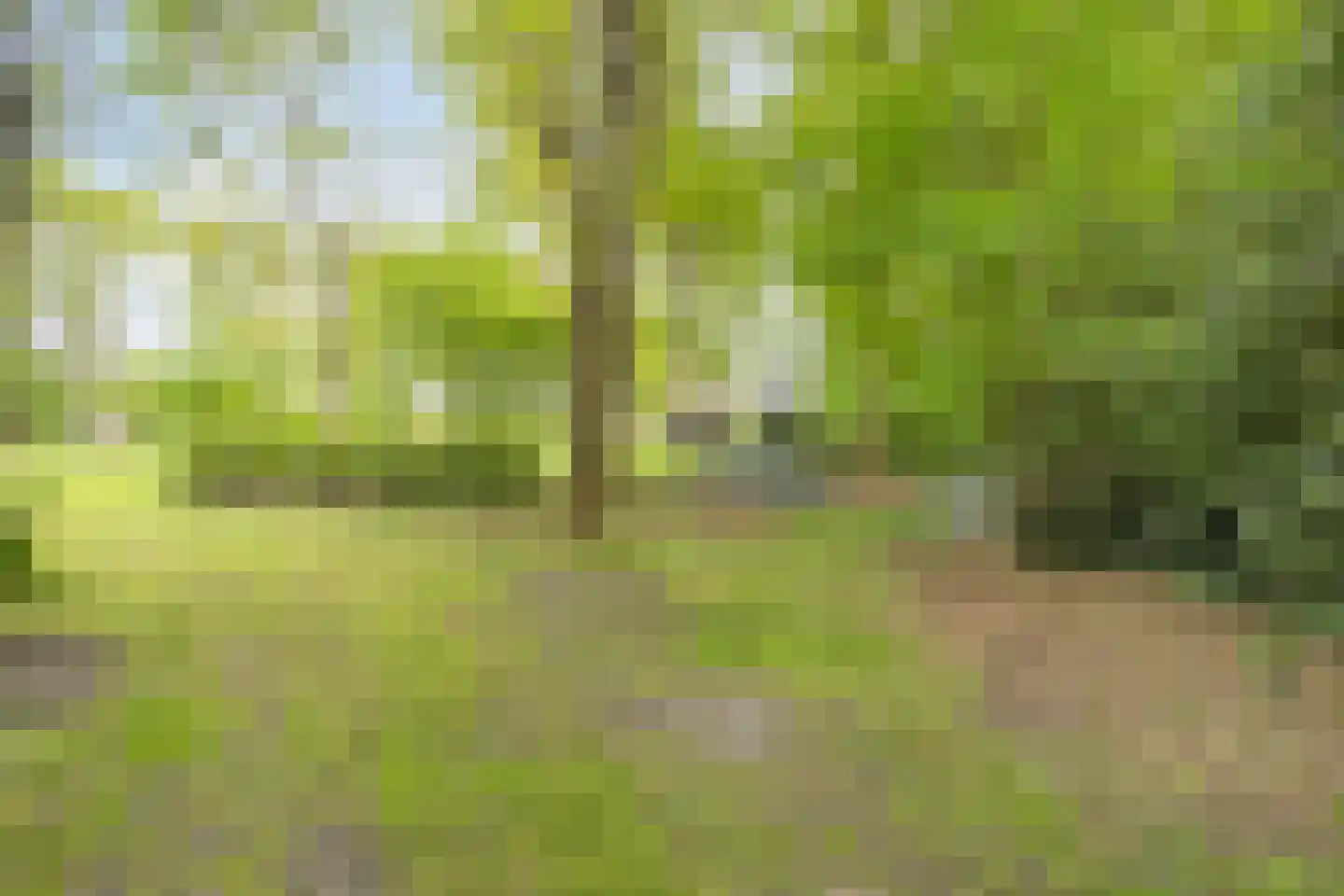 Kerkdreef 2 Nijeholtpade thumbnail 37