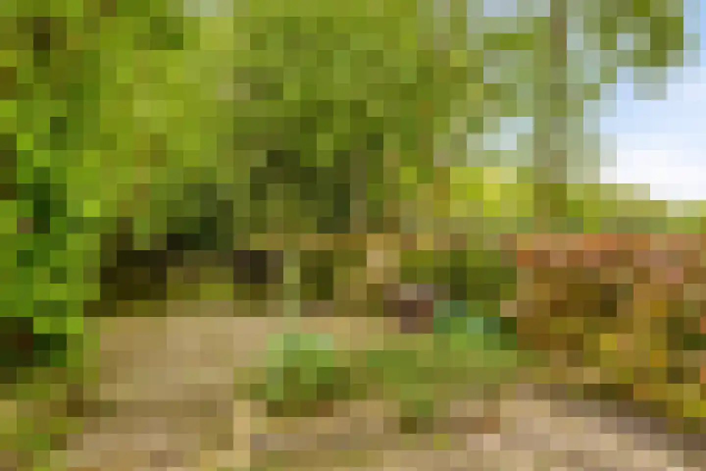 Kerkdreef 2 Nijeholtpade thumbnail 38