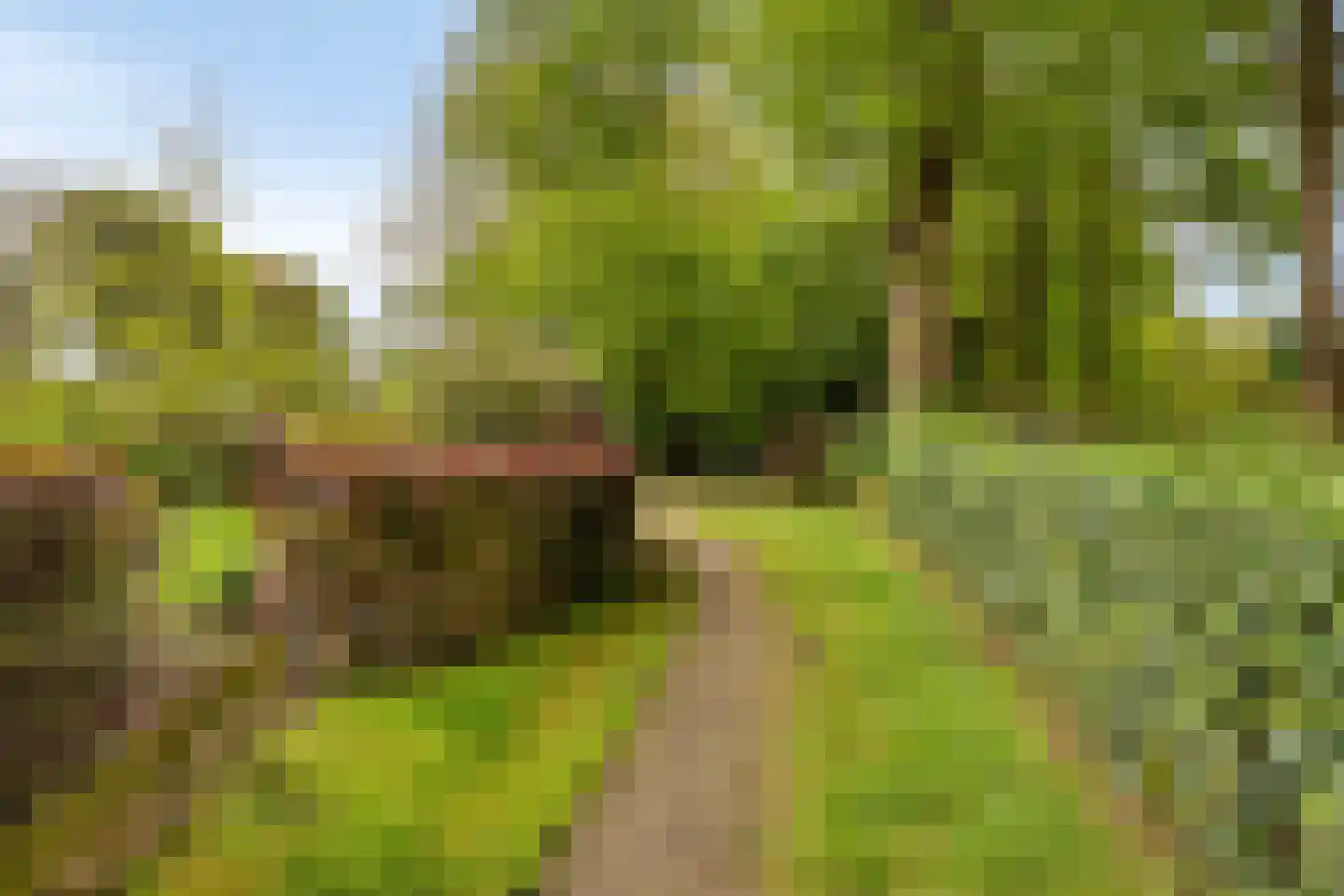 Kerkdreef 2 Nijeholtpade thumbnail 39