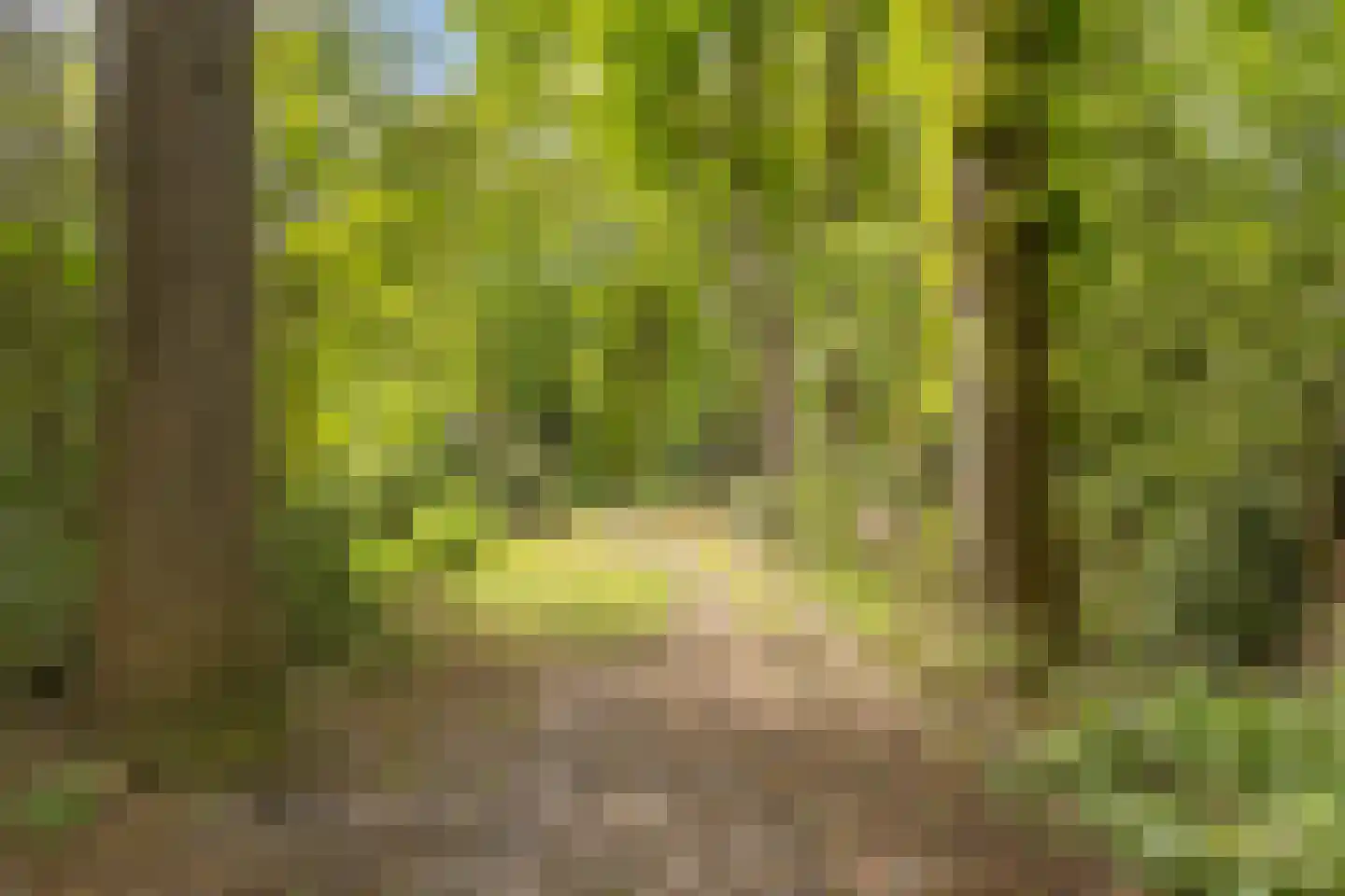 Kerkdreef 2 Nijeholtpade thumbnail 41