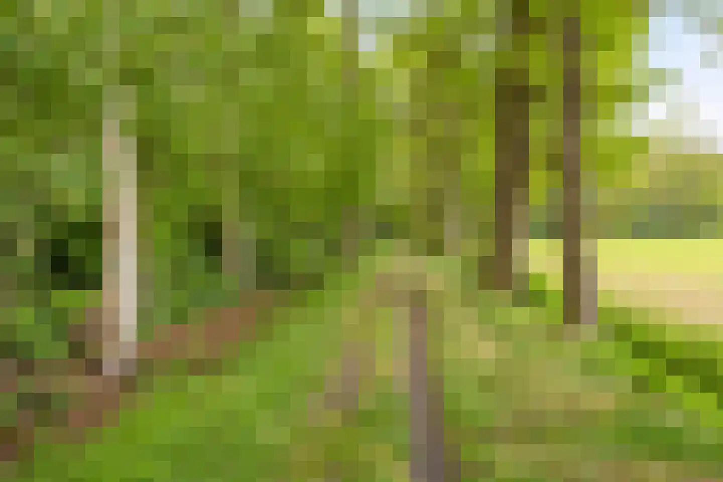 Kerkdreef 2 Nijeholtpade thumbnail 42