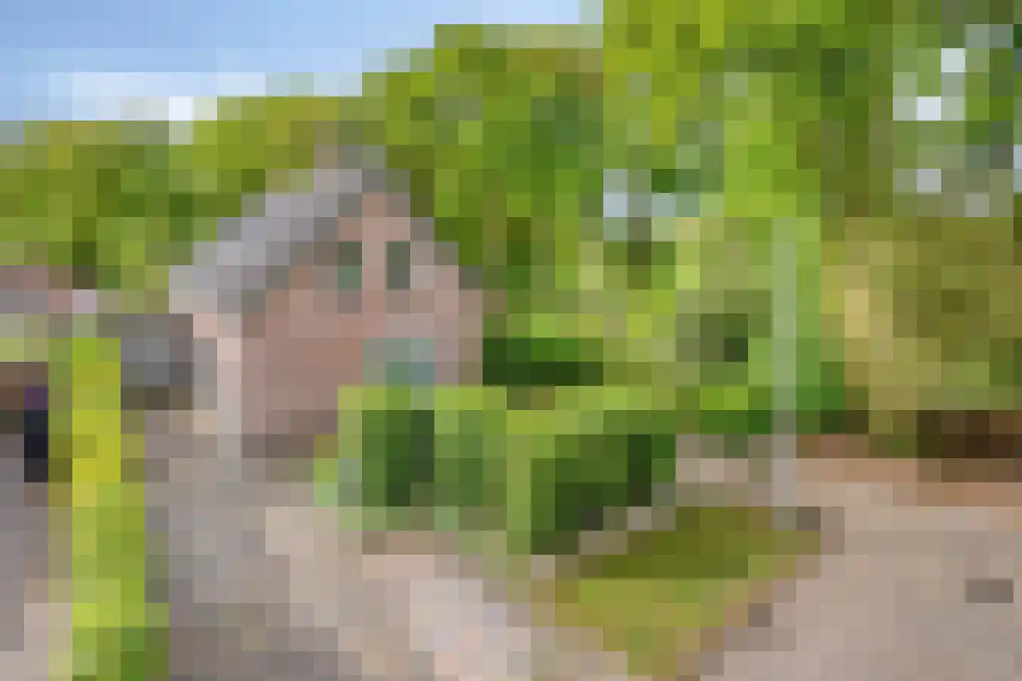 Kerkdreef 2 Nijeholtpade thumbnail 44