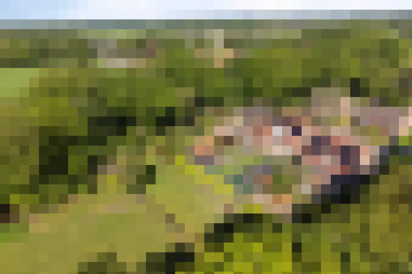 Kerkdreef 2 Nijeholtpade thumbnail 49