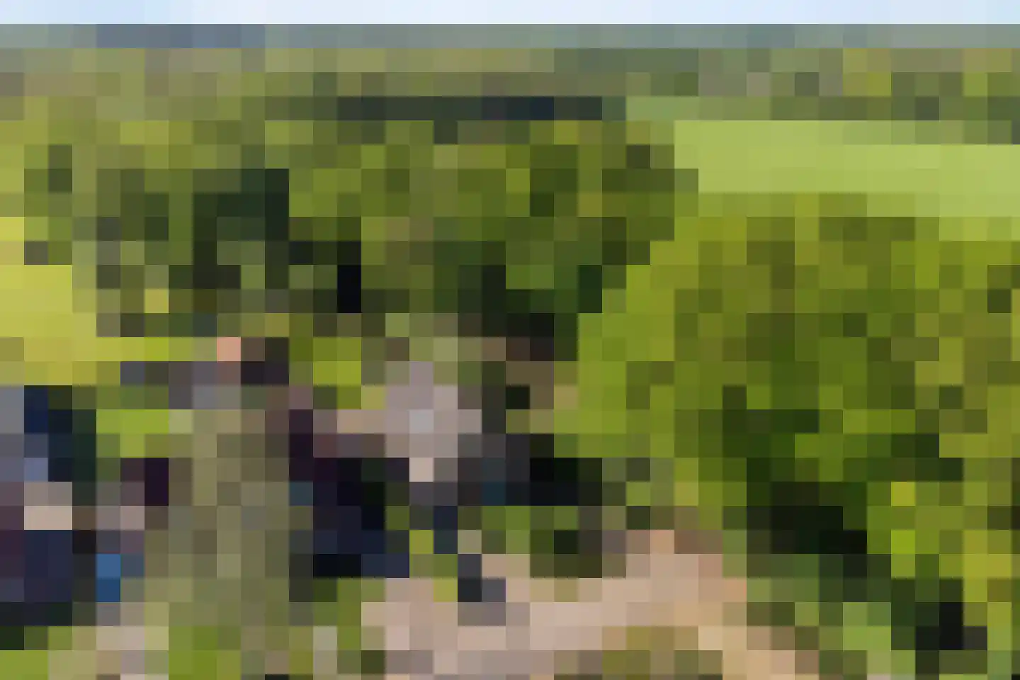 Kerkdreef 2 Nijeholtpade thumbnail 50