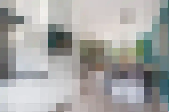Kerkdreef 20 Ooltgensplaat thumbnail 14