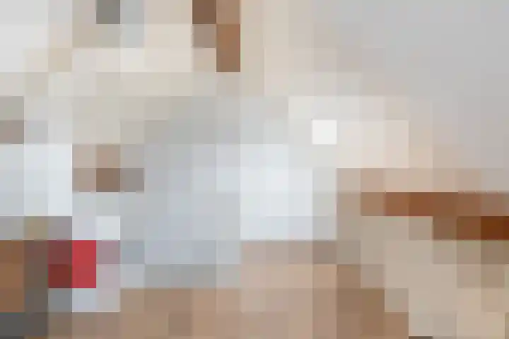 Kerkdreef 20 Ooltgensplaat thumbnail 24