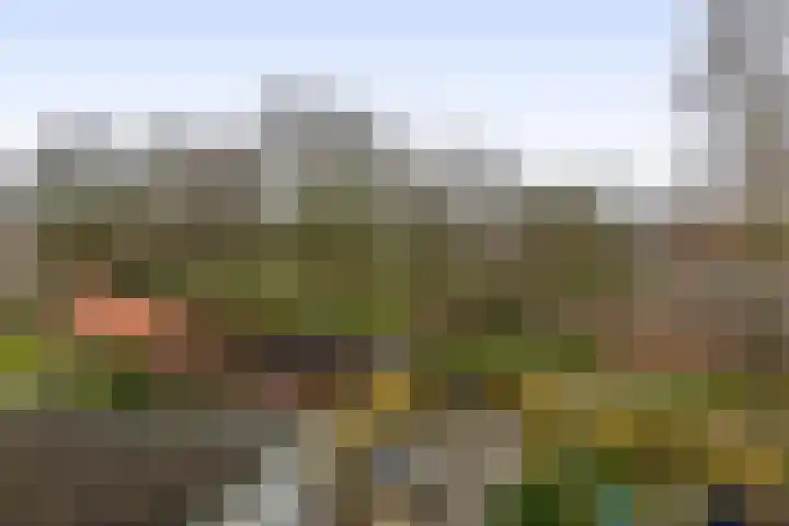 Kerkdreef 20 Ooltgensplaat thumbnail 27