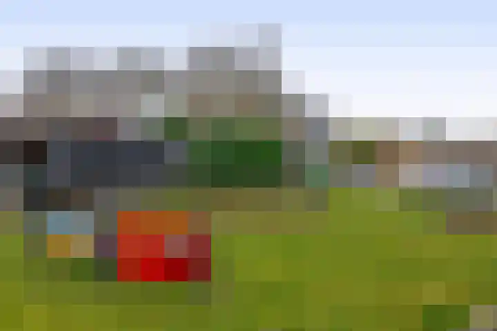 Kerkdreef 20 Ooltgensplaat thumbnail 28