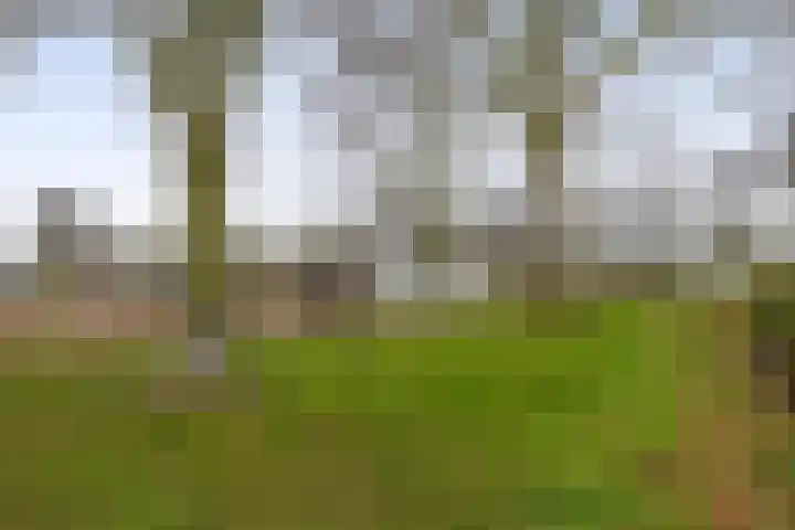 Kerkdreef 20 Ooltgensplaat thumbnail 29