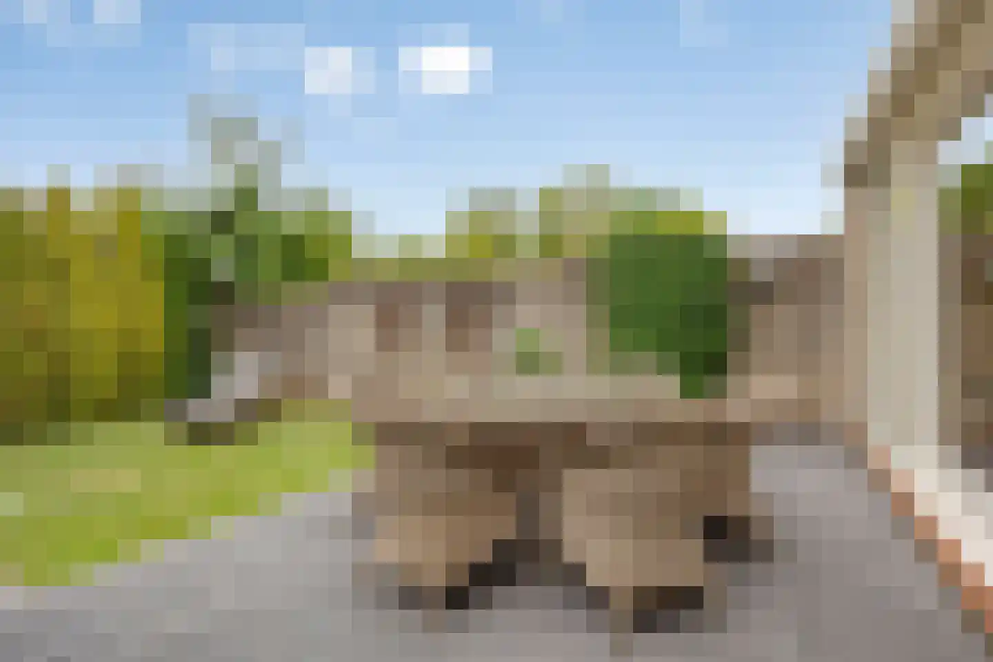 Kerkdreef 22 Krimpen aan den IJssel thumbnail 40