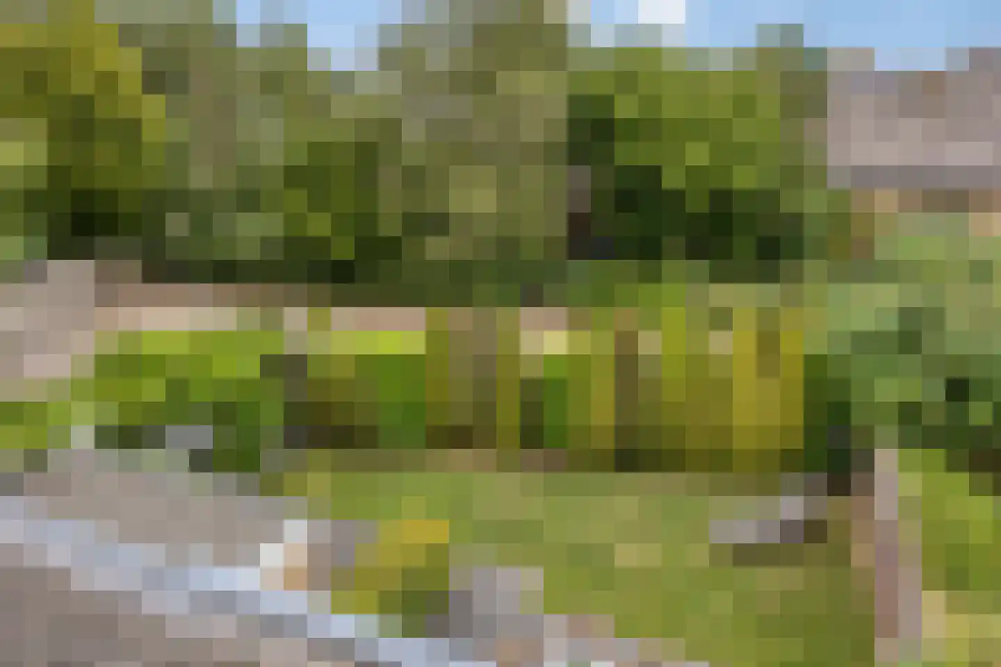 Kerkdreef 22 Krimpen aan den IJssel thumbnail 44