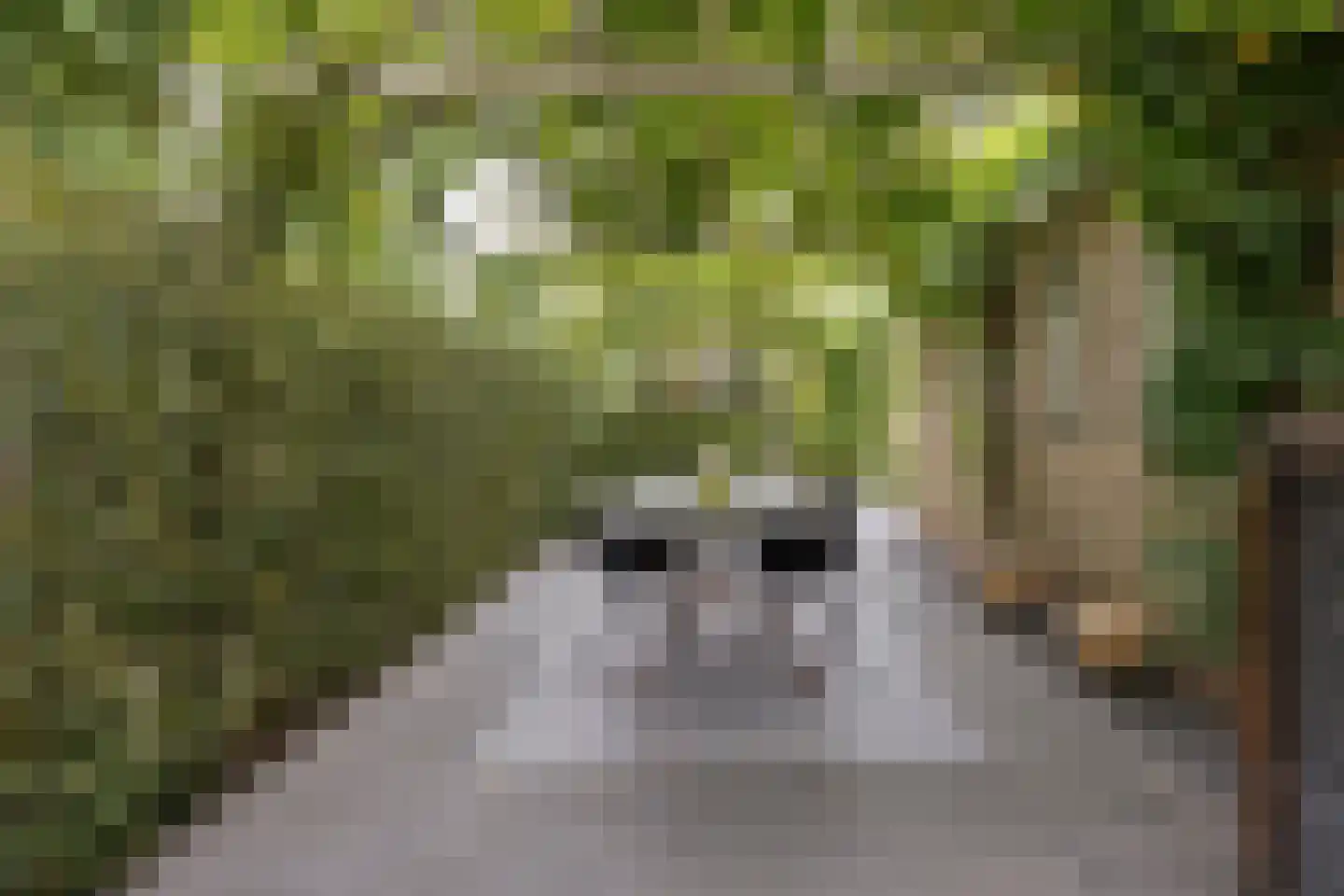 Kerkdreef 22 Krimpen aan den IJssel thumbnail 47