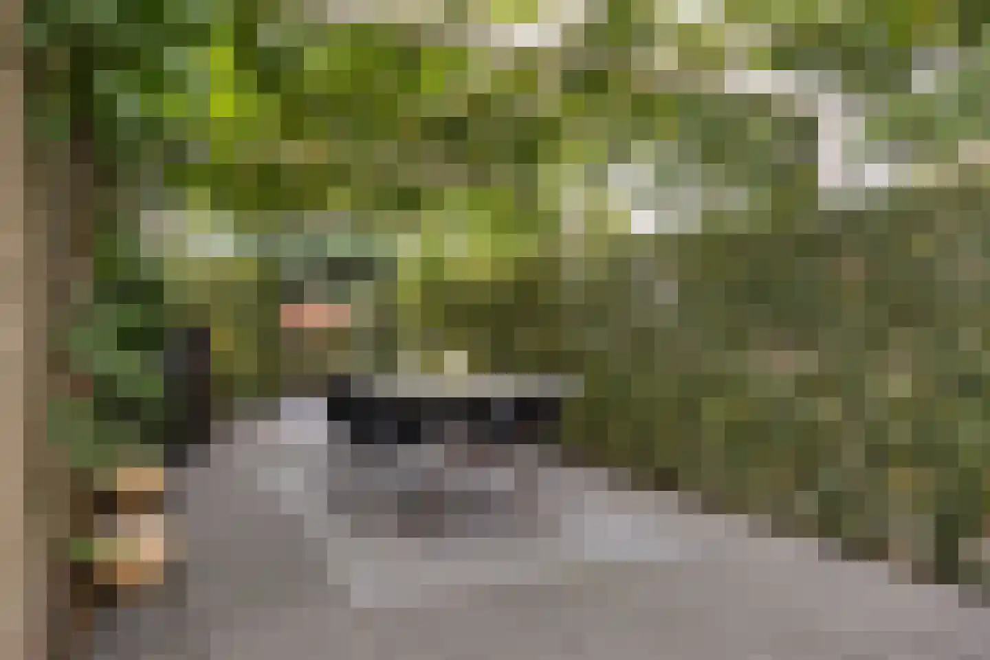 Kerkdreef 22 Krimpen aan den IJssel thumbnail 48