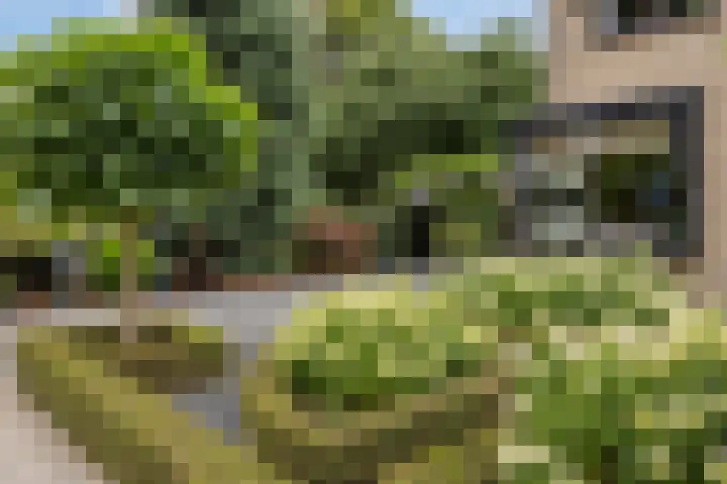 Kerkdreef 22 Krimpen aan den IJssel thumbnail 52