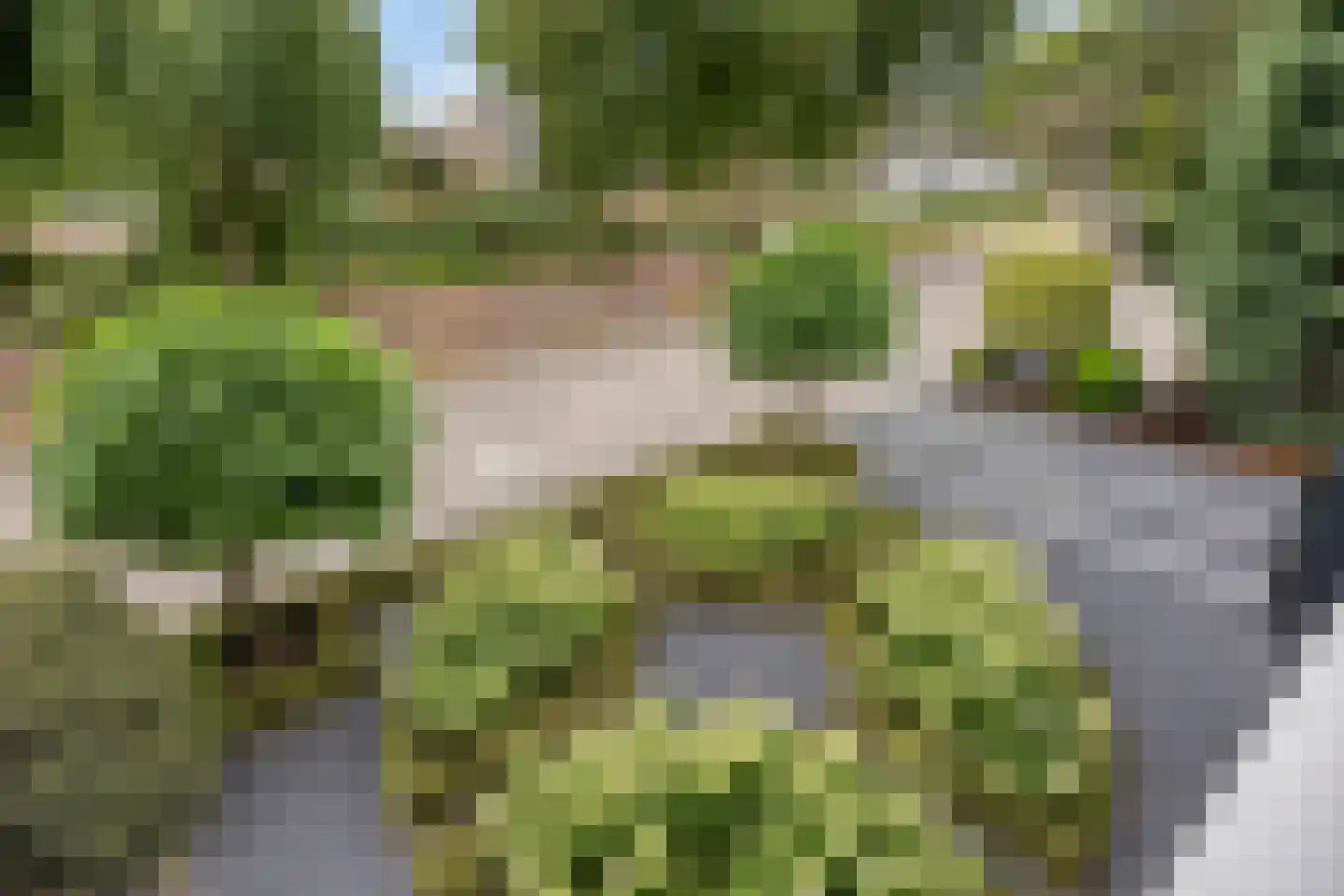 Kerkdreef 22 Krimpen aan den IJssel thumbnail 53