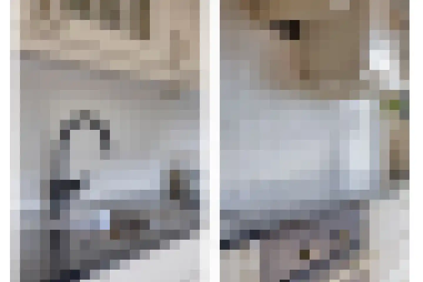 Kerkdreef 22 Krimpen aan den IJssel thumbnail 6