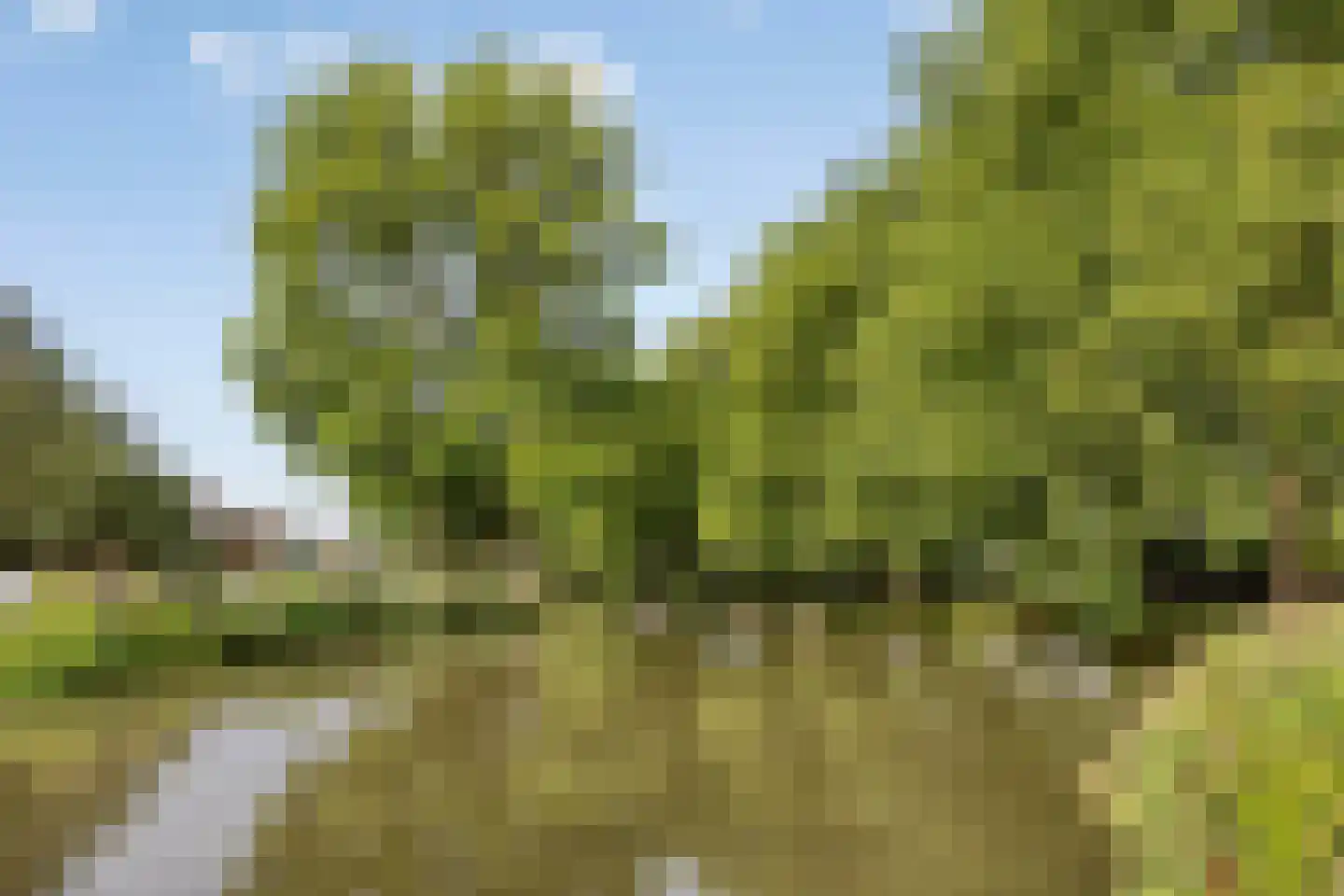 Kerkdreef 22 Krimpen aan den IJssel thumbnail 61