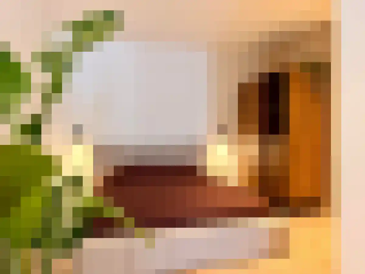 Kerkdreef 24 Axel thumbnail 4