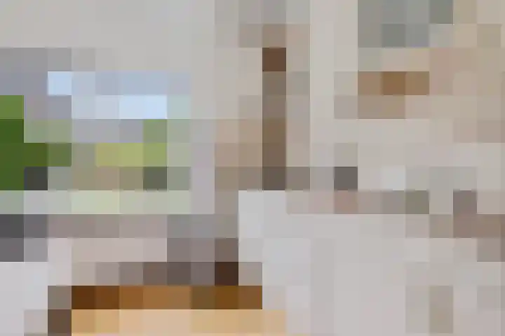 Kerkdreef 24 Oldekerk thumbnail 10