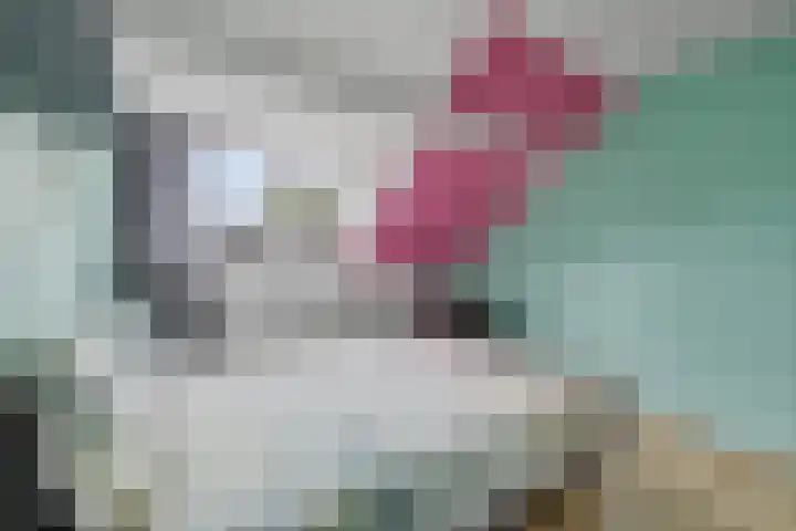 Kerkdreef 24 Oldekerk thumbnail 15
