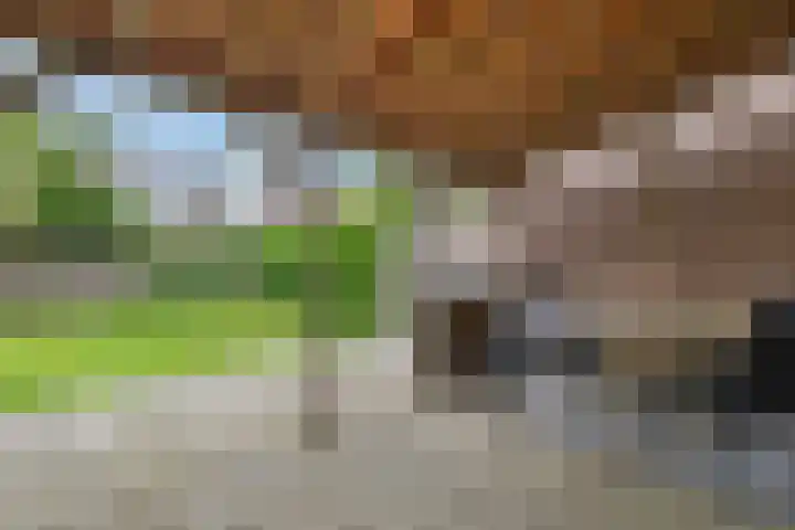 Kerkdreef 24 Oldekerk thumbnail 19