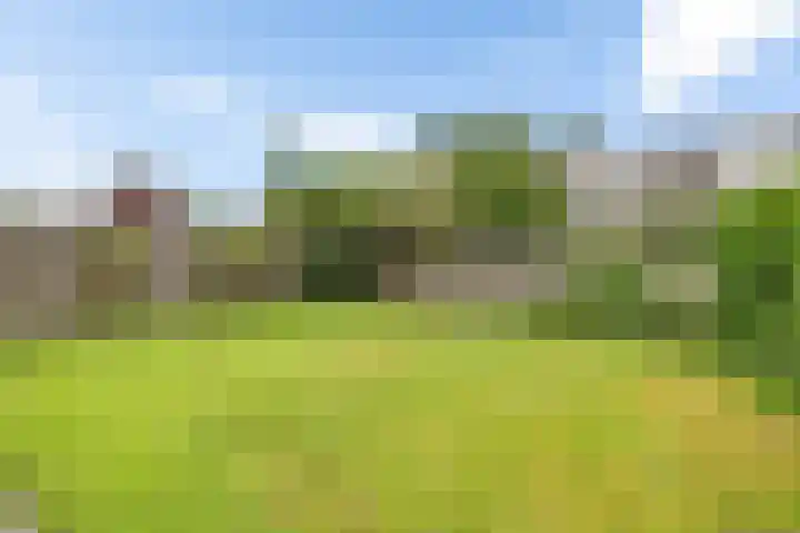 Kerkdreef 24 Oldekerk thumbnail 21