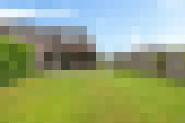 Kerkdreef 24 Oldekerk thumbnail 22