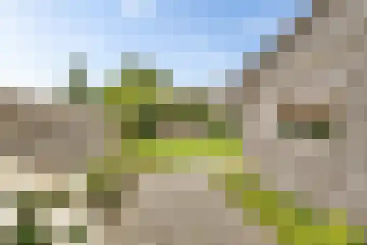 Kerkdreef 24 Oldekerk thumbnail 24
