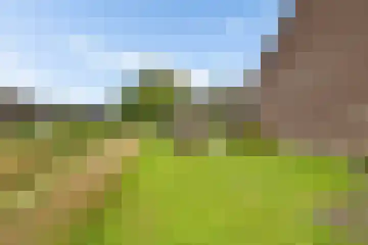 Kerkdreef 24 Oldekerk thumbnail 25