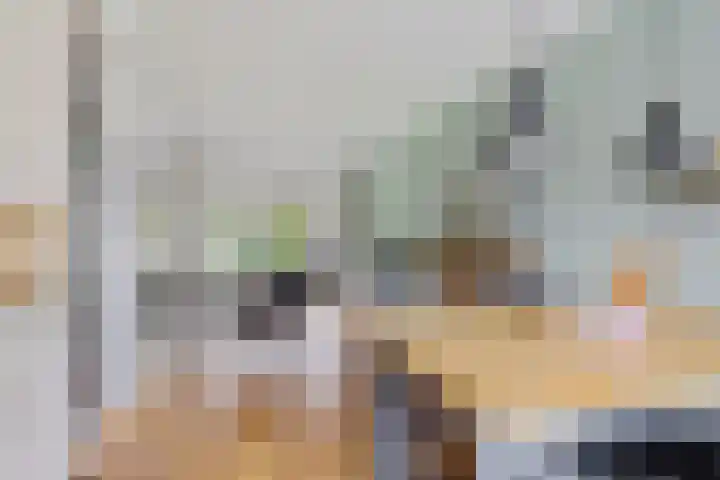 Kerkdreef 24 Oldekerk thumbnail 6