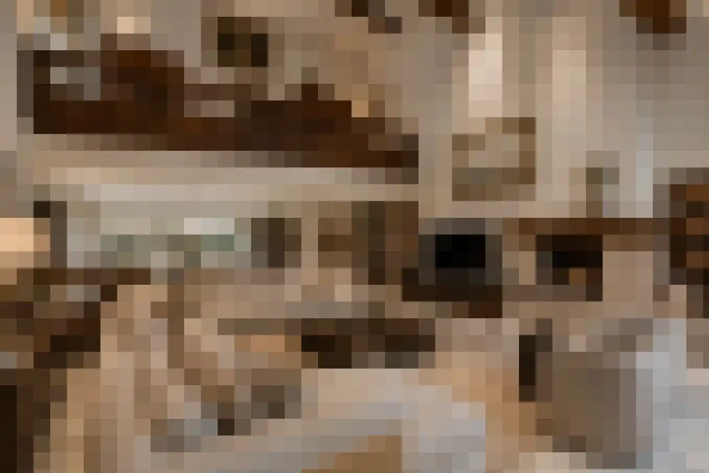 Kerkdreef 28 Krimpen aan den IJssel thumbnail 13