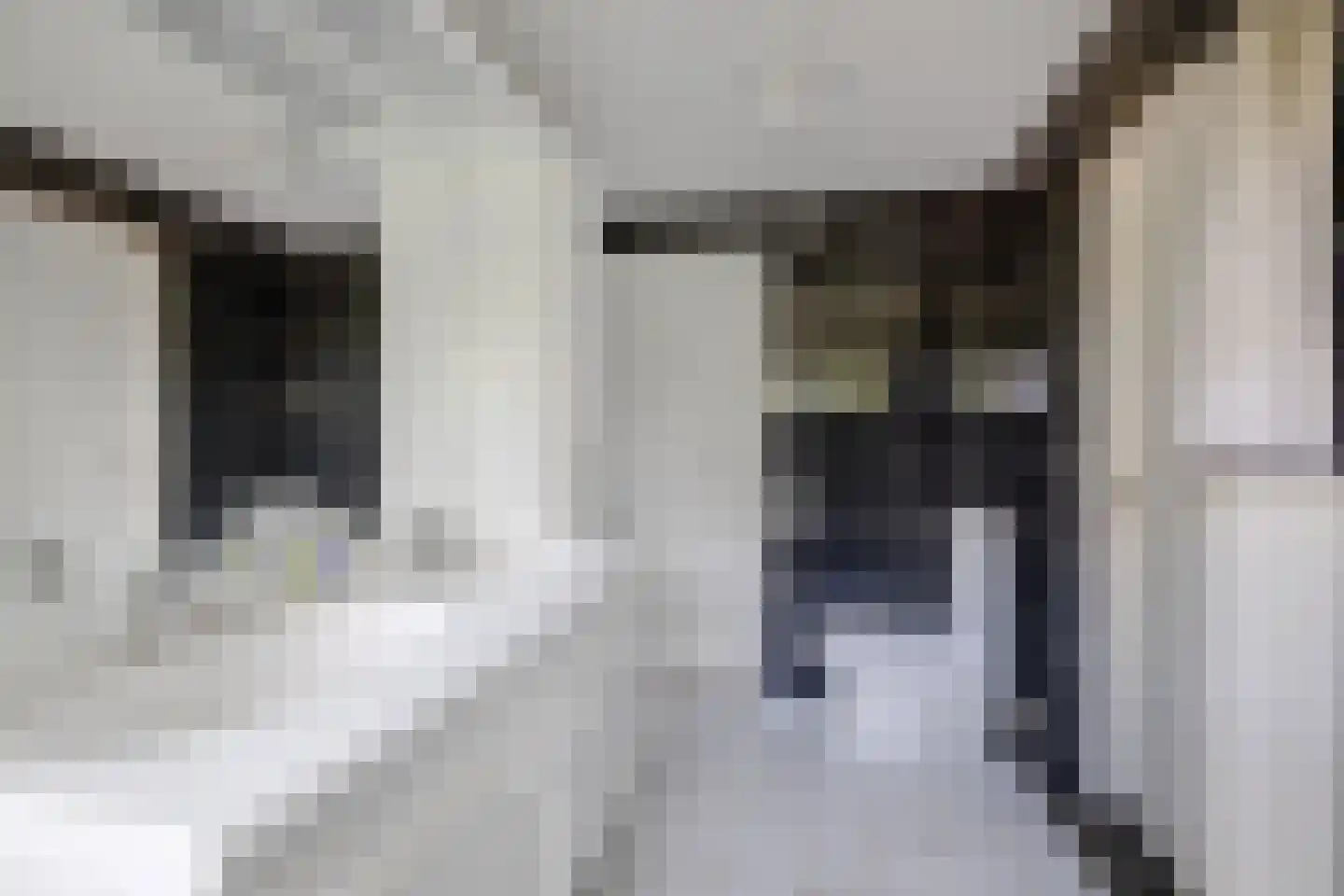 Kerkdreef 28 Krimpen aan den IJssel thumbnail 30