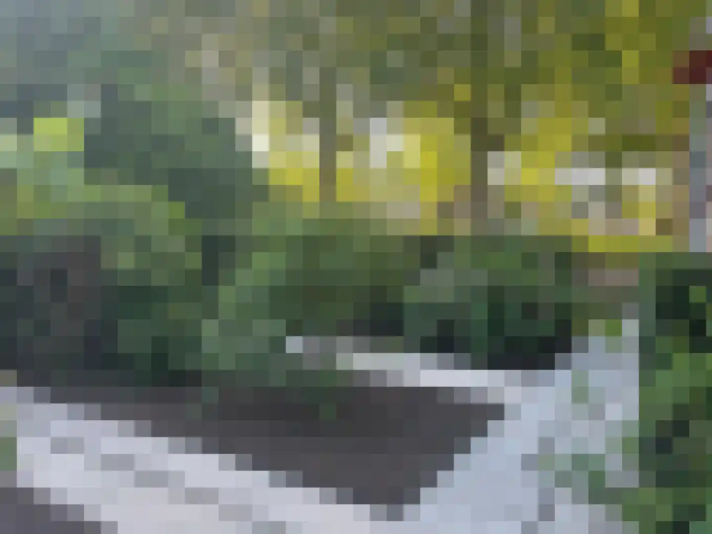 Kerkdreef 28 Krimpen aan den IJssel thumbnail 47