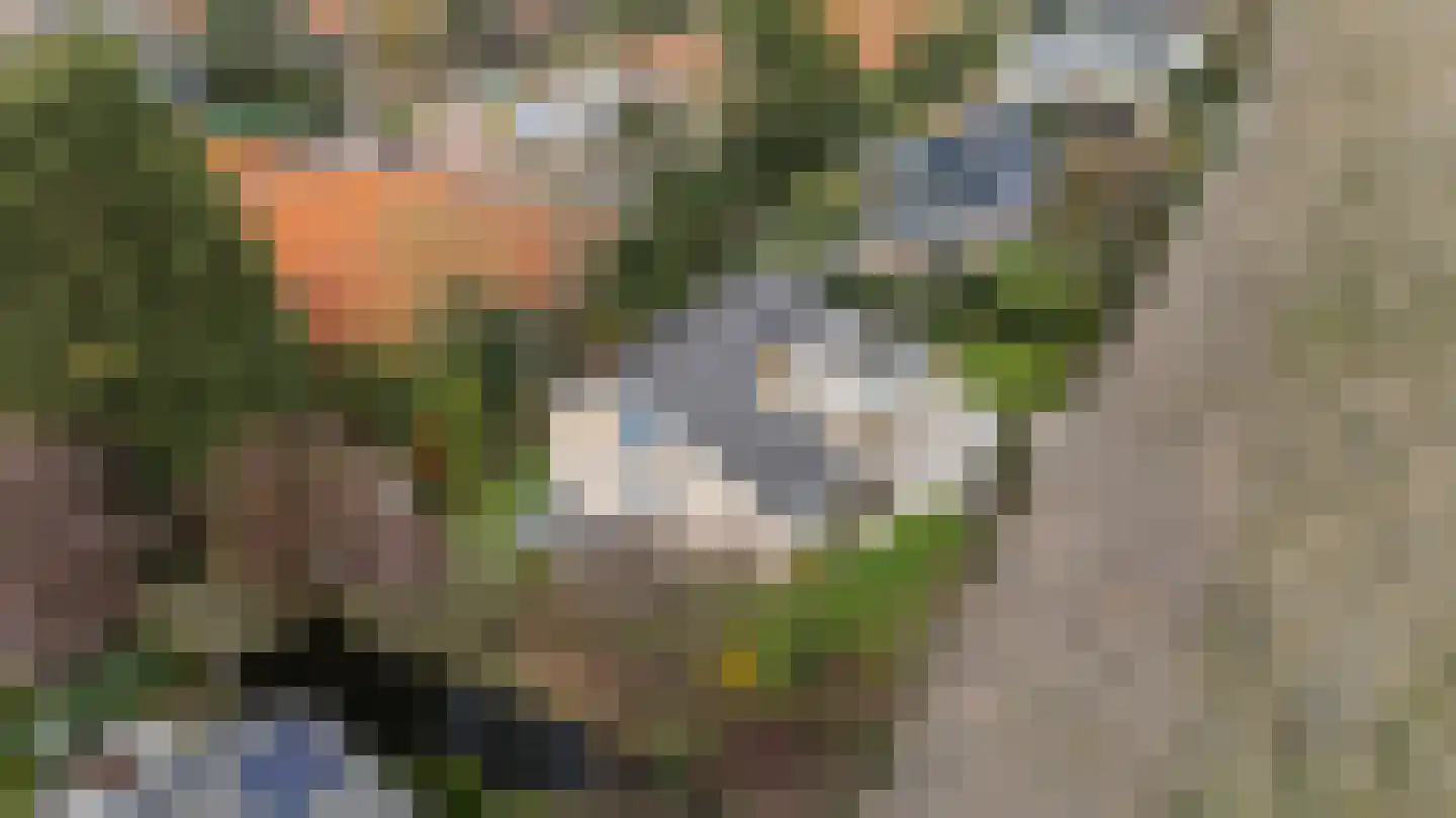 Kerkdreef 28 Krimpen aan den IJssel thumbnail 59