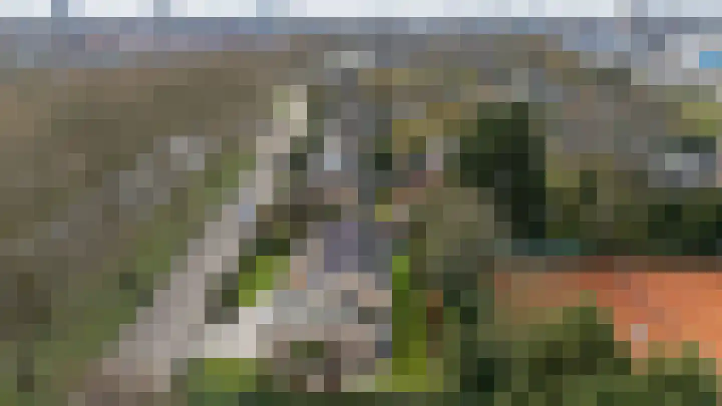 Kerkdreef 28 Krimpen aan den IJssel thumbnail 60