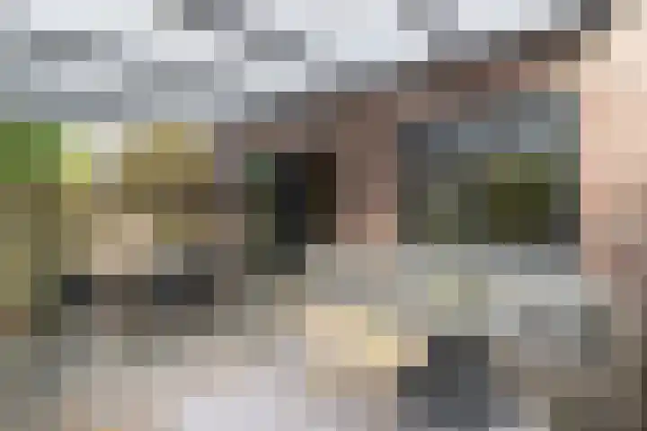 Kerkdreef 56 Oldekerk thumbnail 17