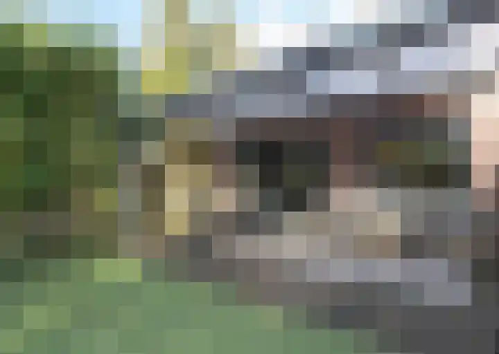 Kerkdreef 56 Oldekerk thumbnail 18