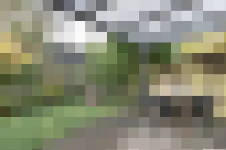 Kerkdreef 56 Oldekerk thumbnail 19