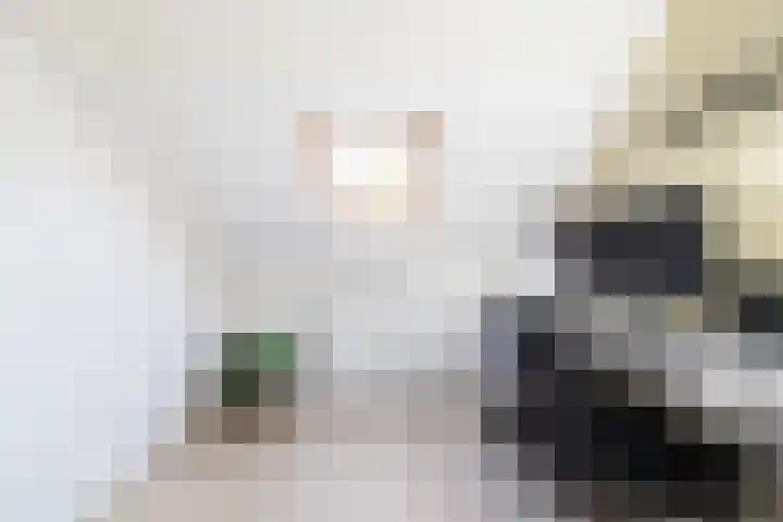 Kerkdreef 56 Oldekerk thumbnail 22