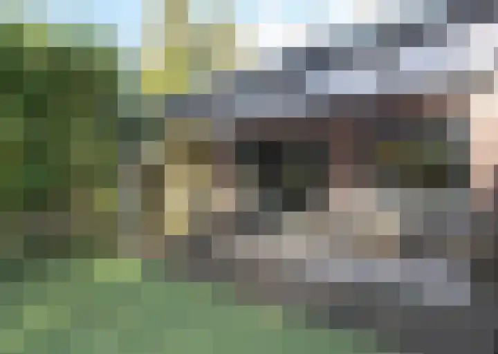 Kerkdreef 56 Oldekerk thumbnail 4