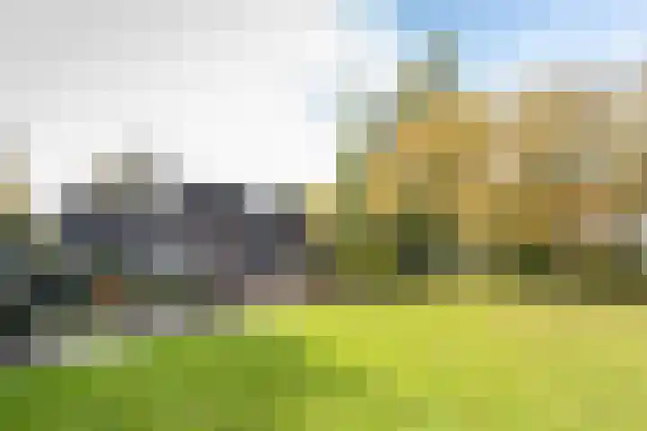 Kerkdreef 56 Oldekerk thumbnail 5
