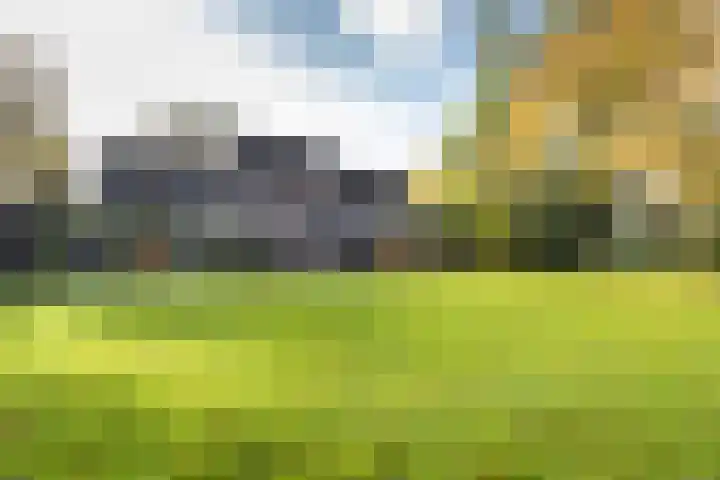 Kerkdreef 56 Oldekerk thumbnail 6