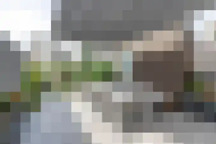 Kerkdrielkade 33 Amersfoort thumbnail 20