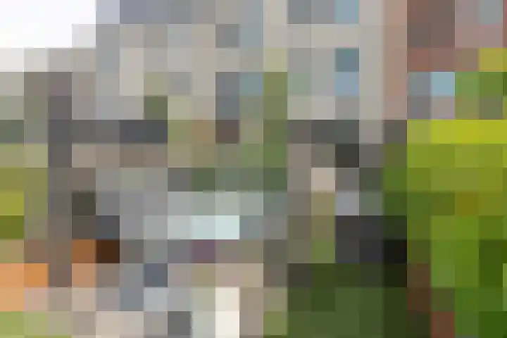 Kerkdrielkade 33 Amersfoort thumbnail 23
