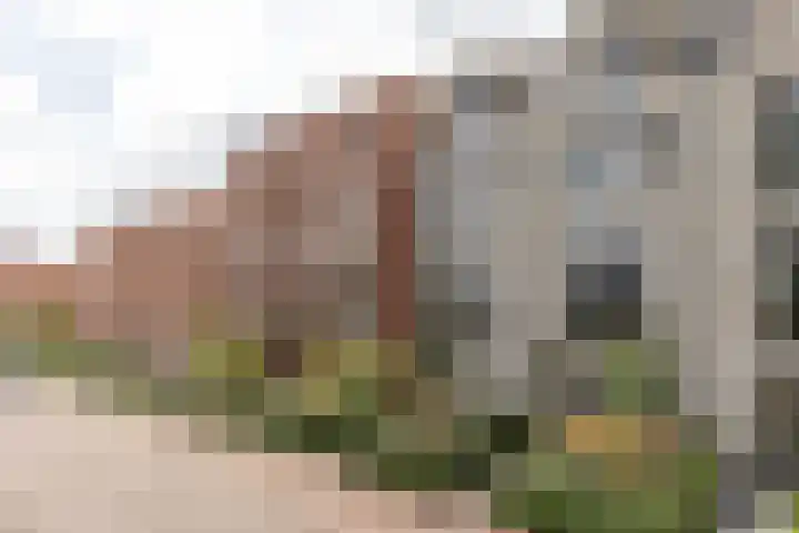 Kerkdrielkade 33 Amersfoort thumbnail 54