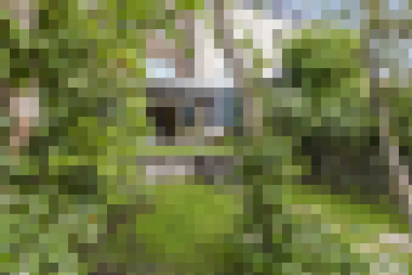Kerkdrielkade 41 Amersfoort thumbnail 68
