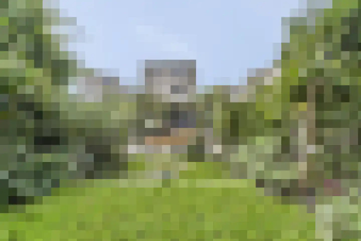 Kerkdrielkade 41 Amersfoort thumbnail 70