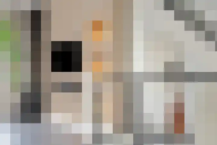 Kerkdrielkade 99 Amersfoort thumbnail 19