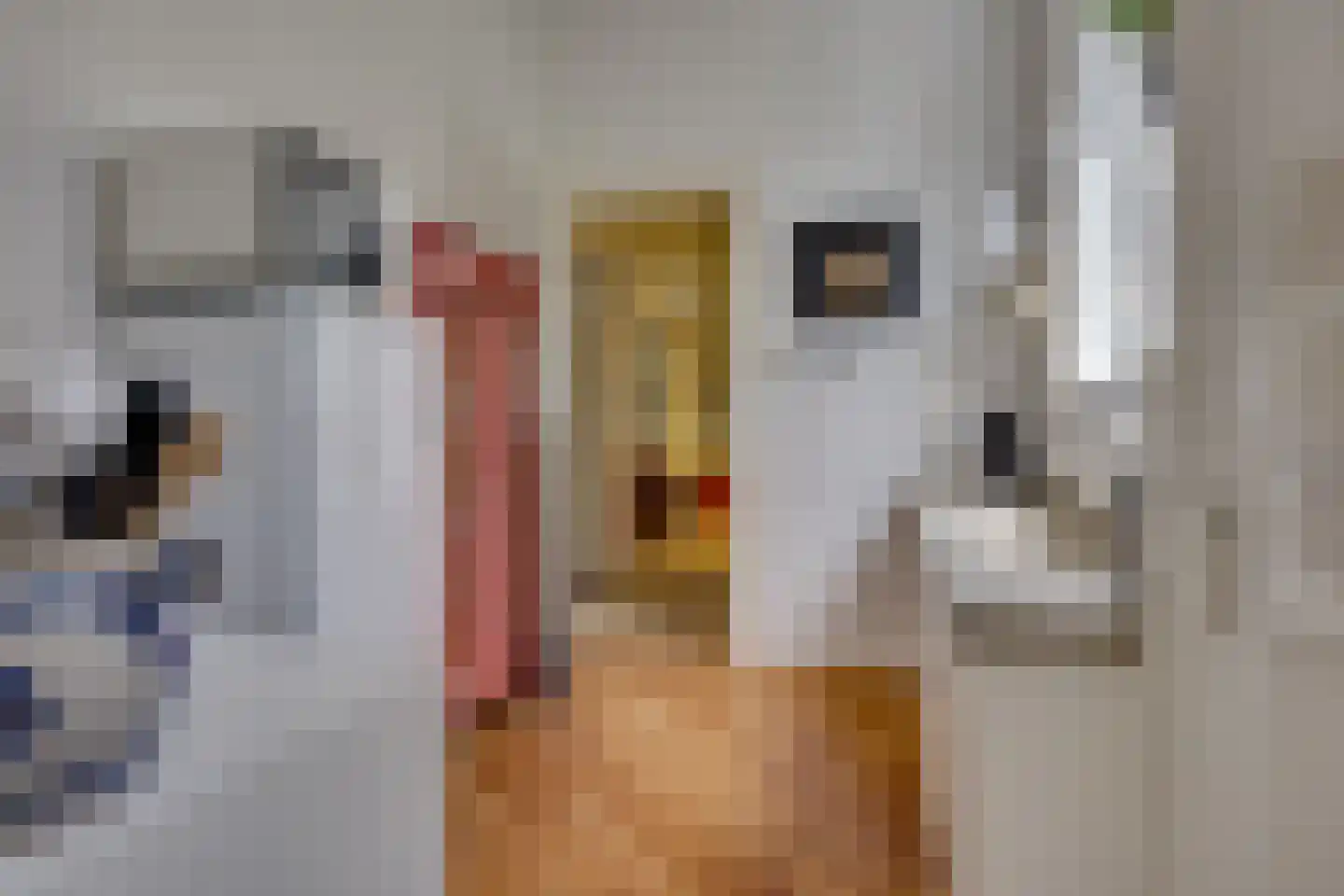 Kerkdwarslaan 7 De Bilt thumbnail 16